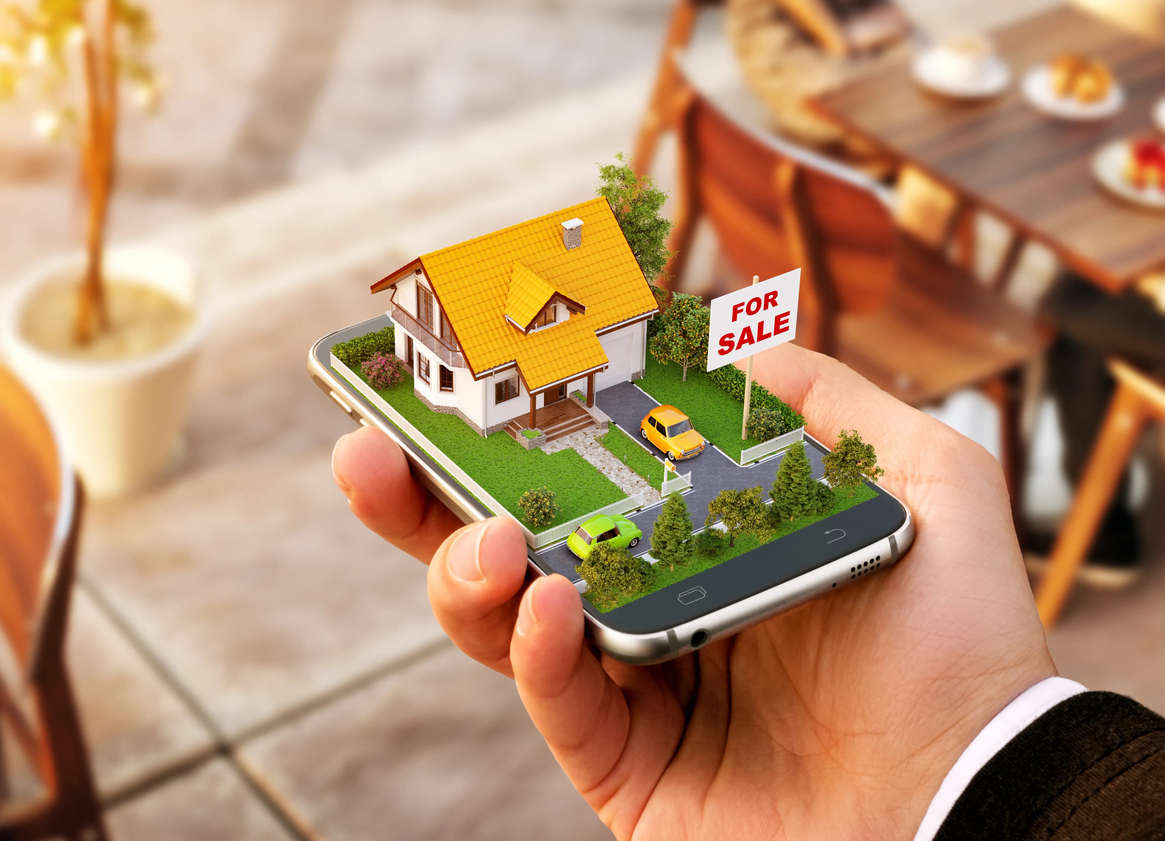 Property Sales & Rentals